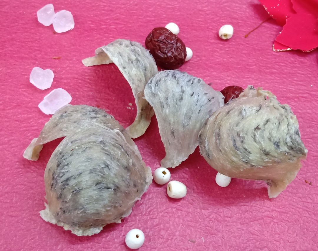 YẾN ĐẢO THÔ KHÁNH HÒA
